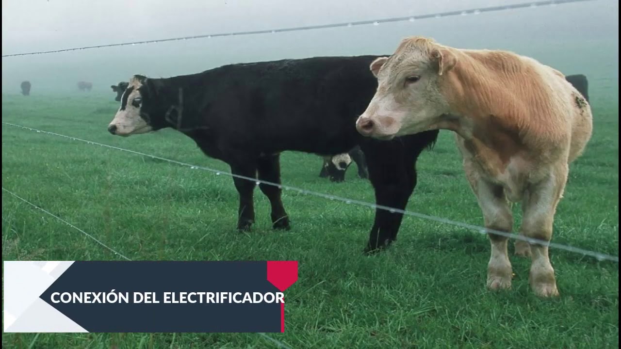 CERCA ELÉCTRICA SOLAR PARA GANADERÍA