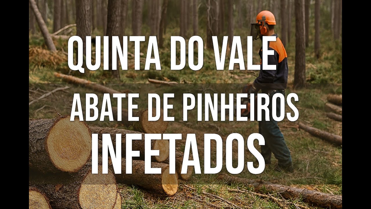 Nemátodo-da-Madeira-do-Pinheiro