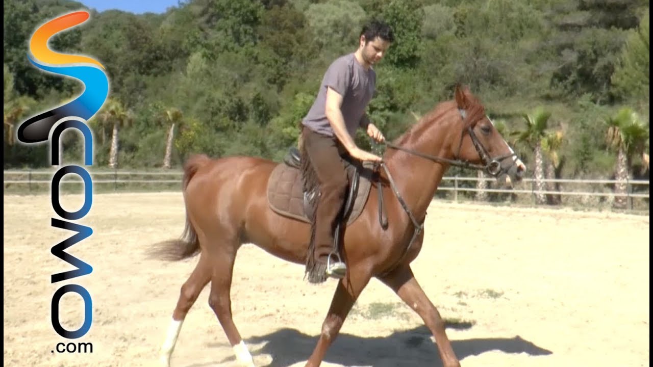 Cómo trotar a caballo