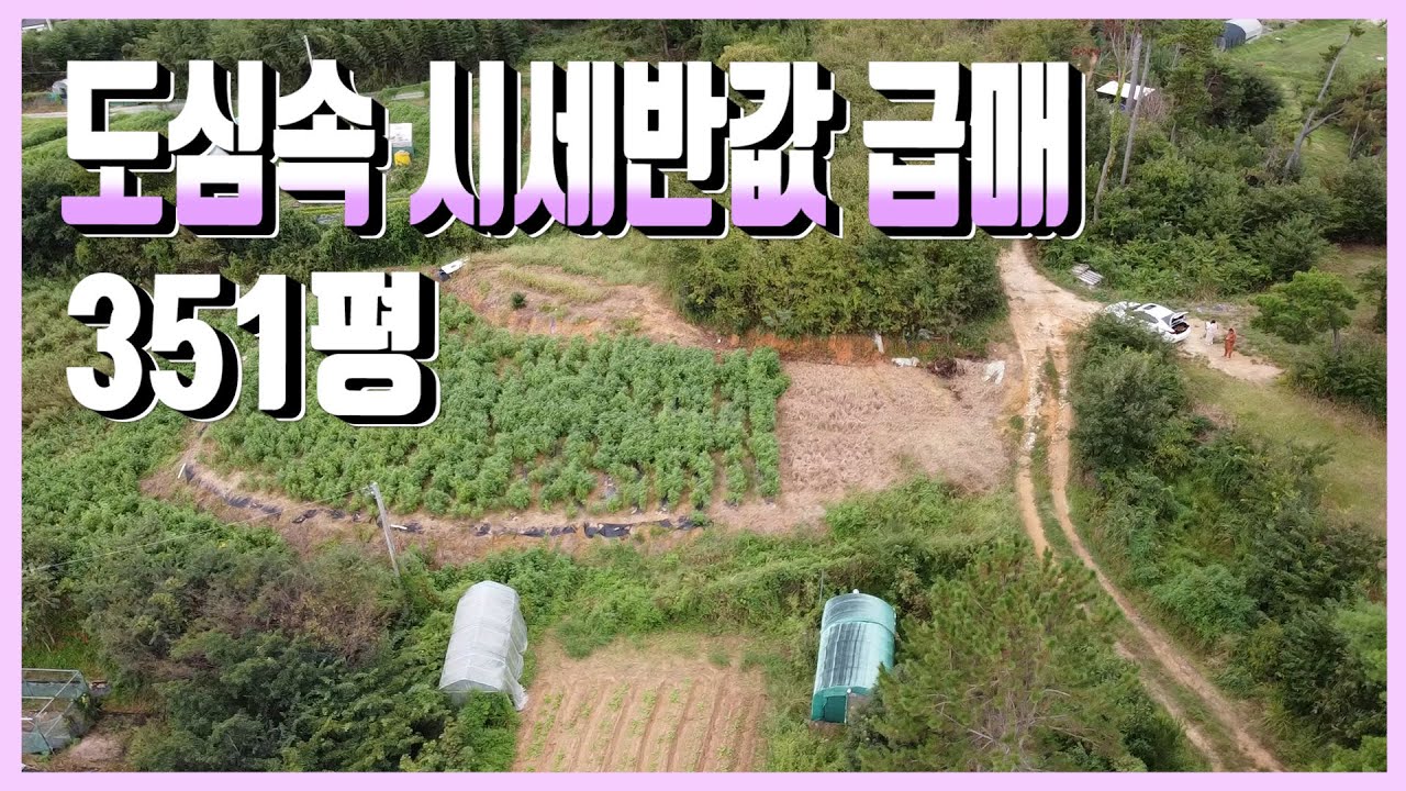1976 울산시 중구 성안동,도심속 시세반값 급매,351평