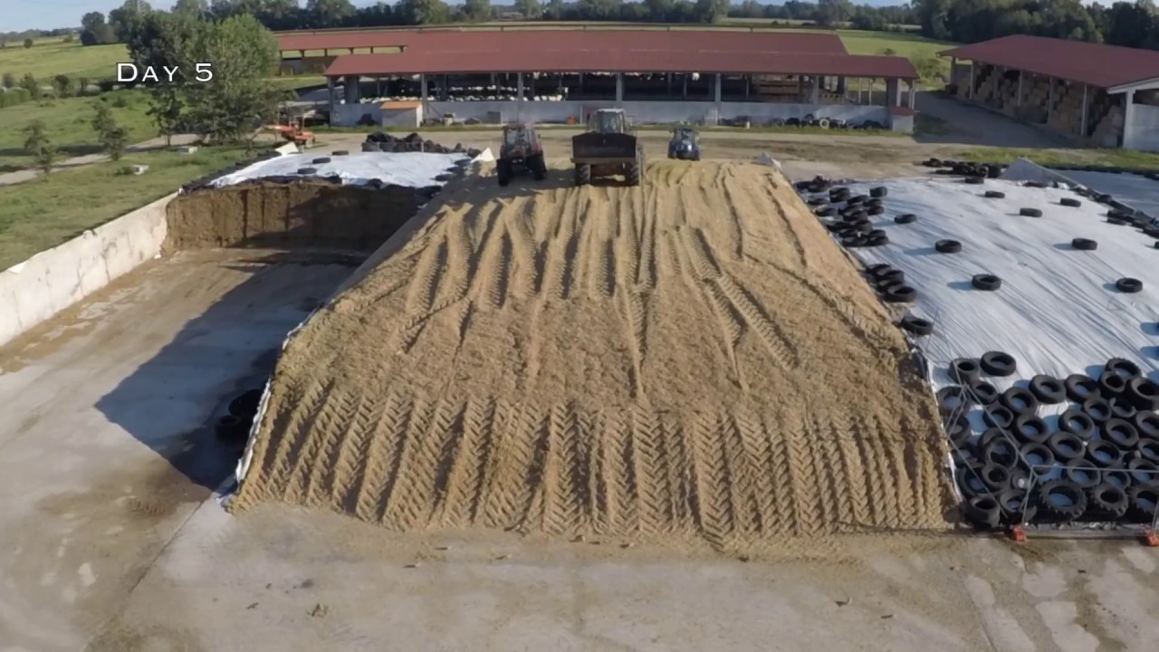 TIMELAPSE - Corn silage in Italy (5 days time-lapse)