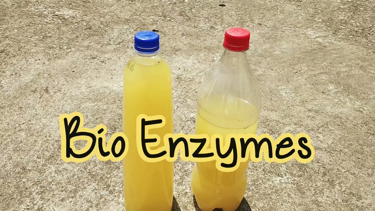 Diy Bio Enzyme