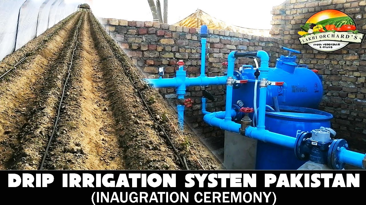 Drip irrigation system and tunnel farming in Pakistan | inauguration ceremony of agricultural farm