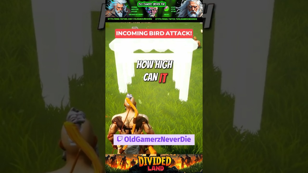 Divided Land - Another Bird to Hate!
