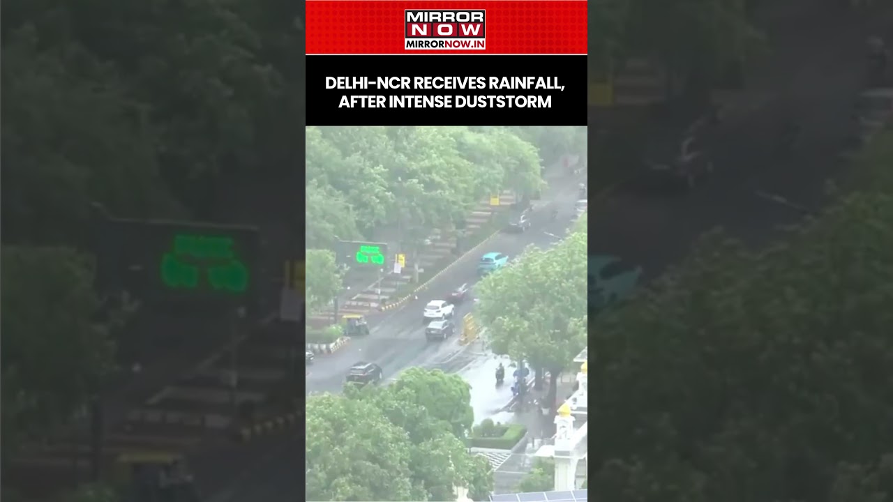 Rain Lashes Parts Of Delhi-NCR After Intense Duststorm, Gives Respite From Heat #shorts