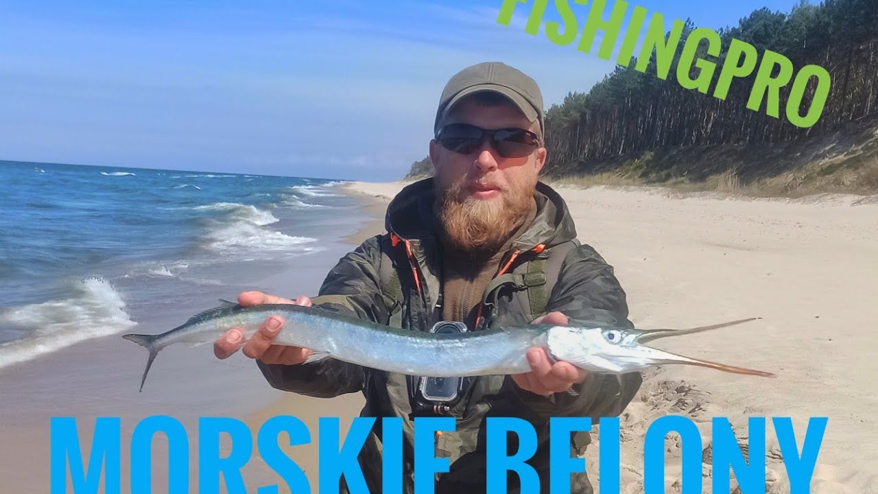 Morskie belony #fishingPRO (relacja & wskaz&oacute;wki)