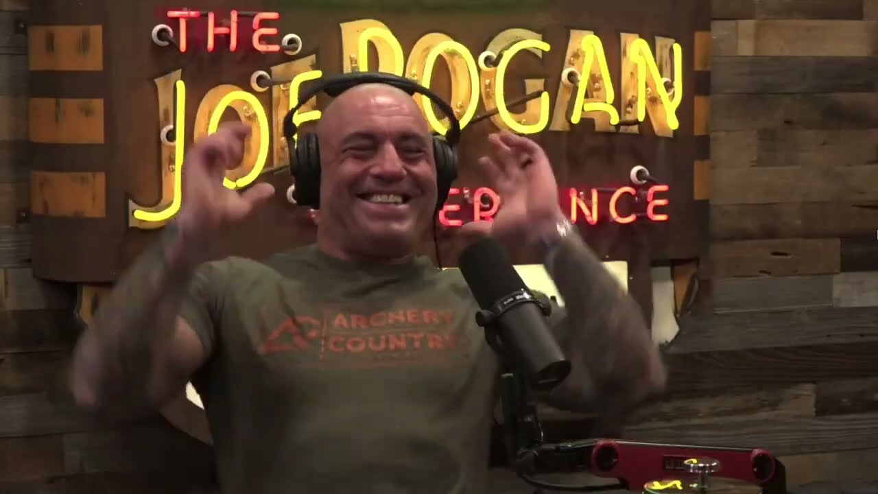 Forget motivation  you need discipline  - Joe Rogan & Theo Von