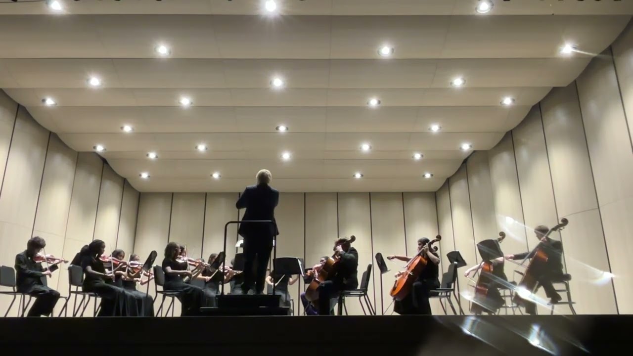 Starlit Night - By Lauren Bernofsky - Camerata Orchestra