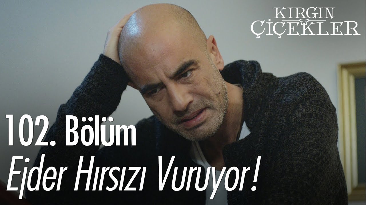 Ejder hırsızı vuruyor! - Kırgın Çiçekler 102. Bölüm