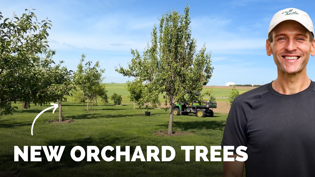 Adding Peach, Pear & Cherry Trees to Mom&rsquo;s Orchard
