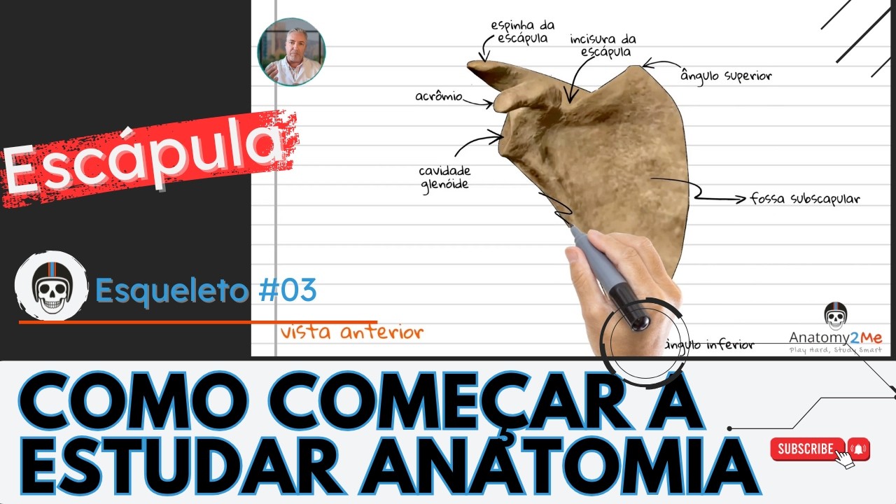 ESQUELETO HUMANO #03 - Anatomia da ESCÁPULA: um isso irregular que é fácil de aprender!