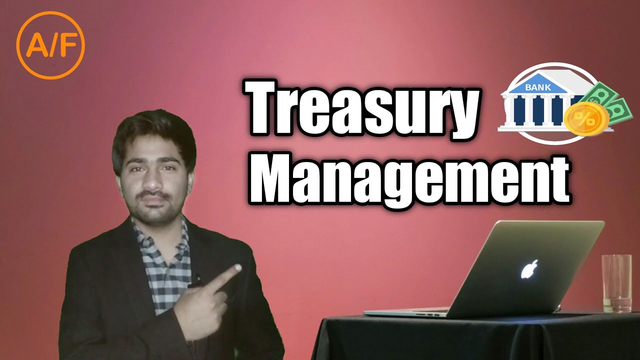 What is Treasury Management in Hindi/Urdu