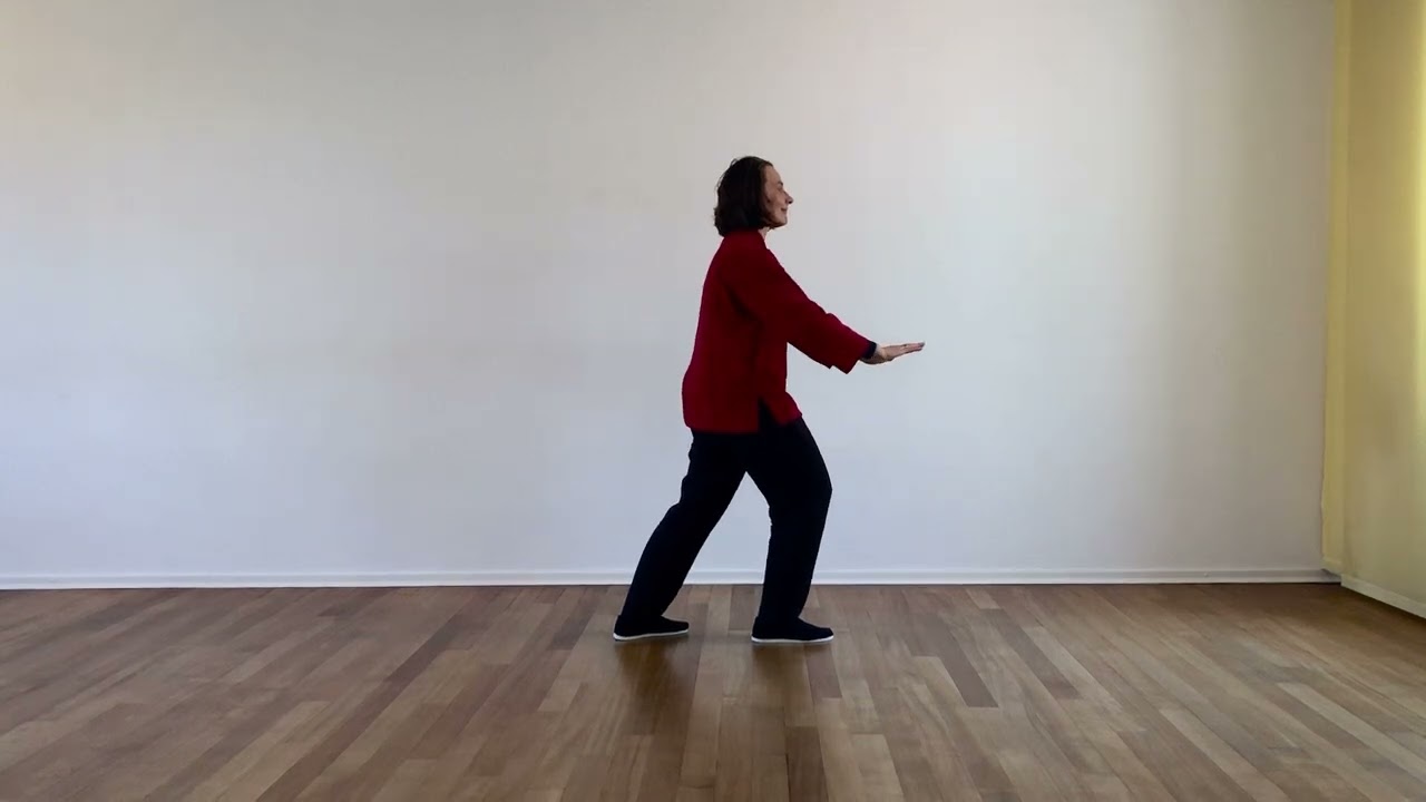 Tai Chi Ch'uan: die  kleine Lee Stil Form seitenkorrekt zum Mitlaufen - Meditation in Bewegung