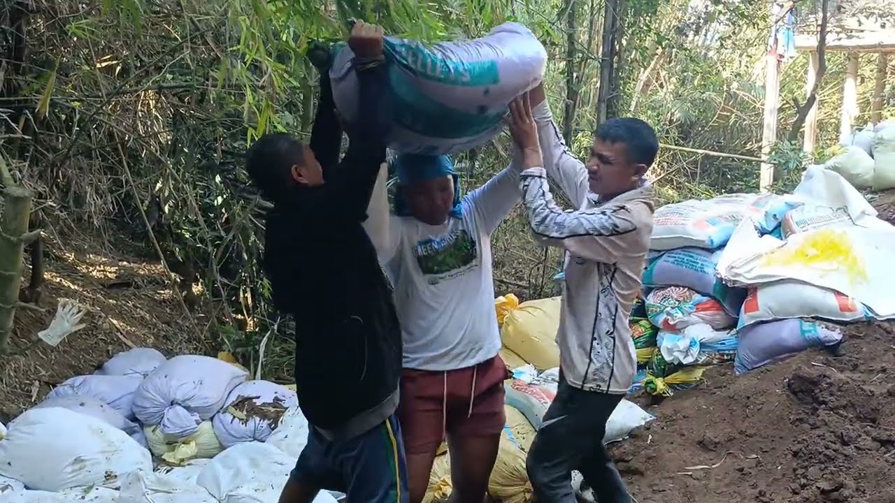 Video tutorial pa tungkol sa ipot ng manok kon paano gamitin na safety ang mga pananim 🌱🌱🌱