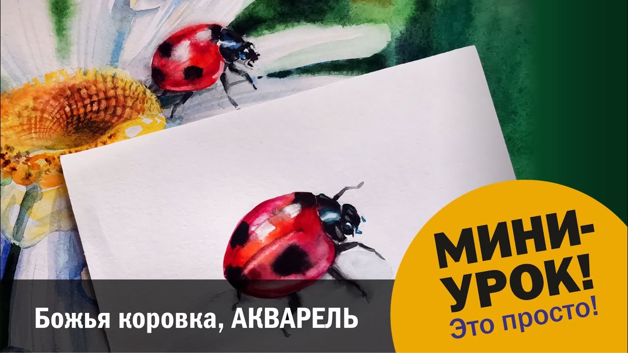 Божья коровка, акварель