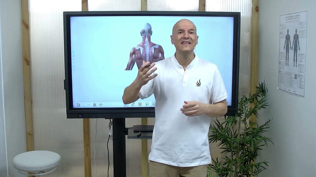 Causas, diagn&oacute;stico y tratamiento integrativo de la Cefalea Tensional