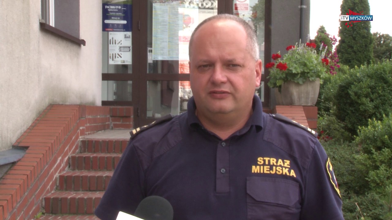 MYSZK&Oacute;W - Wielkogabarytowy problem