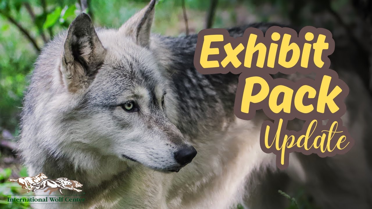 Exhibit Pack Update - 29 August 2025