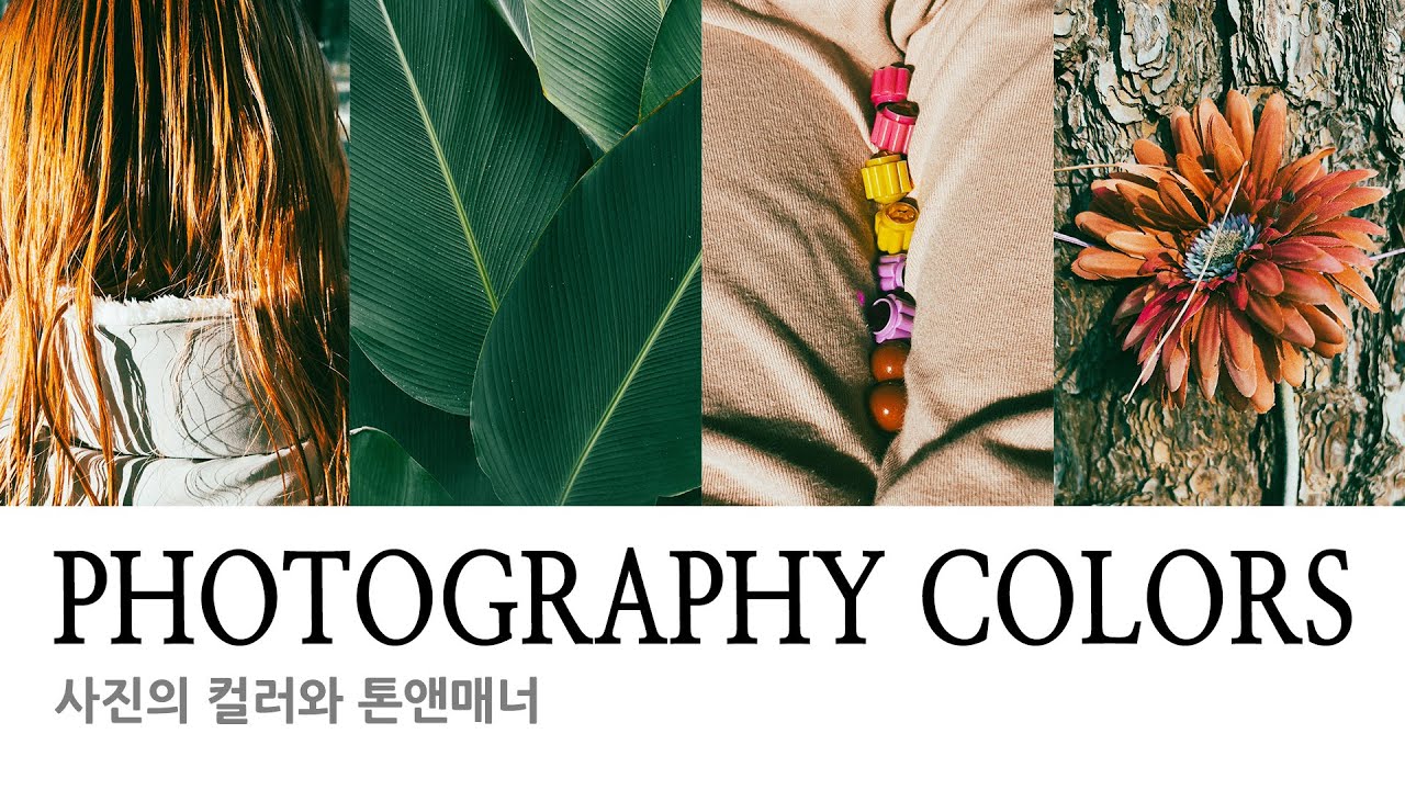 [사진강의] 사진에 작가만의 색을 담기, 사진 작업에서 톤 앤 매너 만들기 - 1부