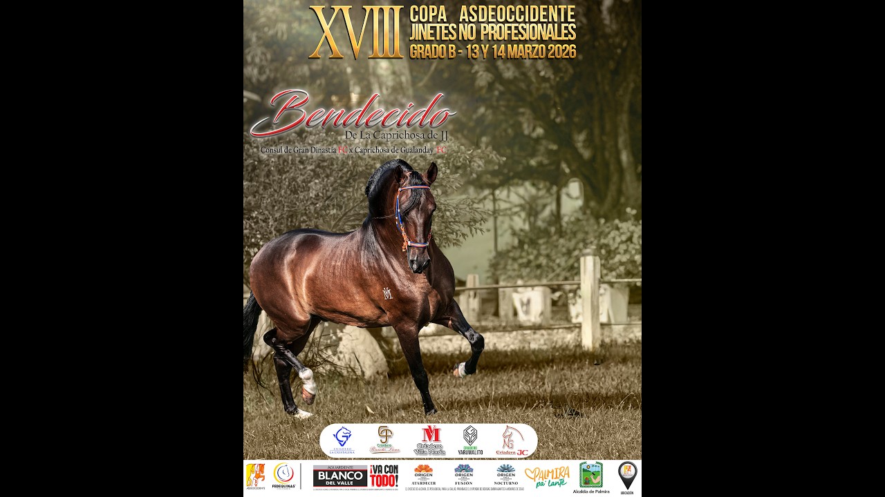 XVIII COPA ASDEOCCIDENTE JINETES NO PROFESIONALES GRADO 