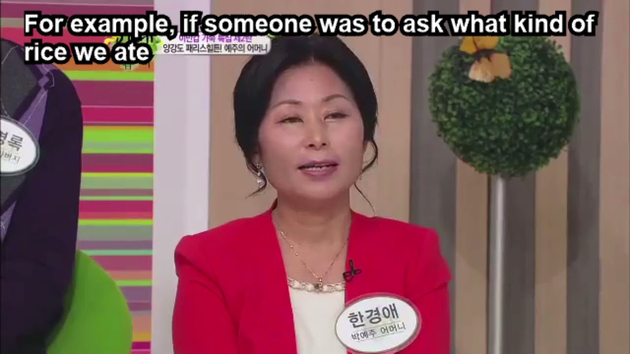 Yeonmi Park clip from Now On My Way To Meet You Episode 58 with English Subtitles