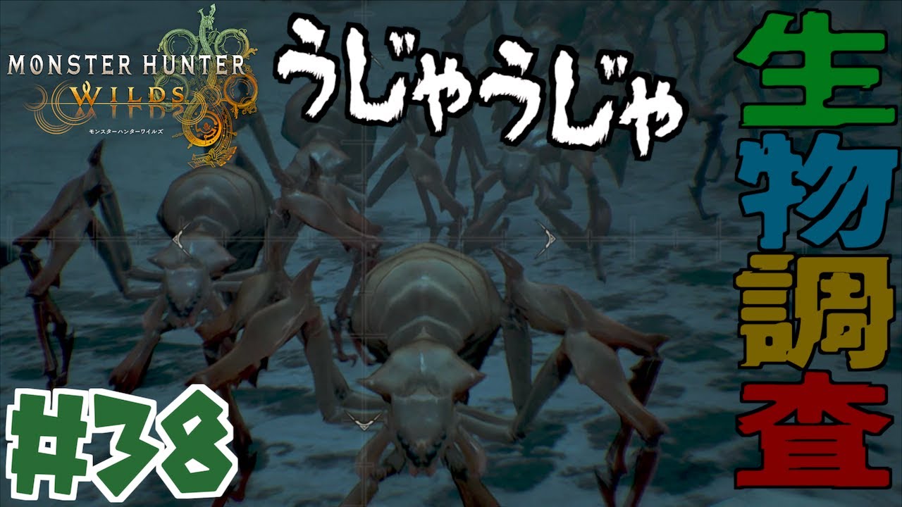 生物調査！！調査対象じゃないやつがうじゃうじゃ出てきた！！＃３９【モンスターハンターワイルズ】【MHWs】