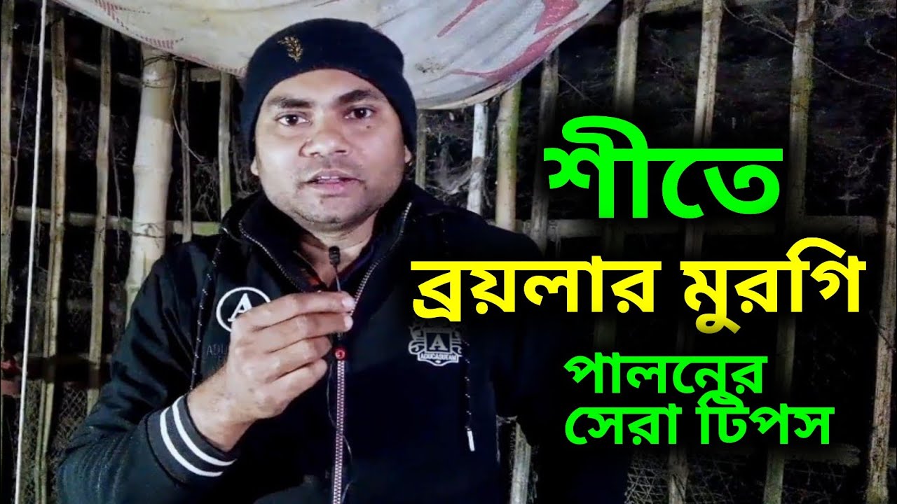 শীতে ব্রয়লার মুরগি পালনের সেরা টিপস | ঠান্ডায় মুরগির রোগ কমানোর সহজ উপায় | Broiler Farming Winter🔥