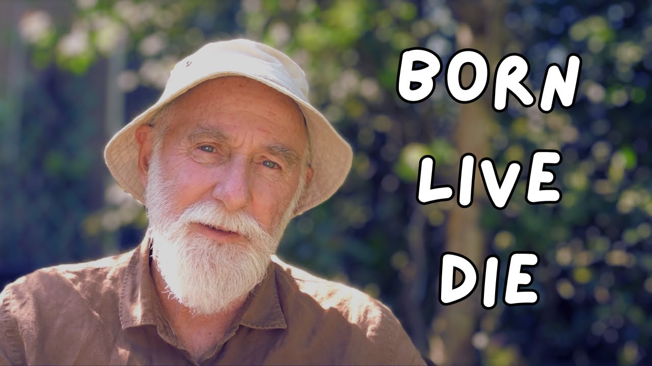 Don't Waste Your Life -The Lie We Tell Ourselves