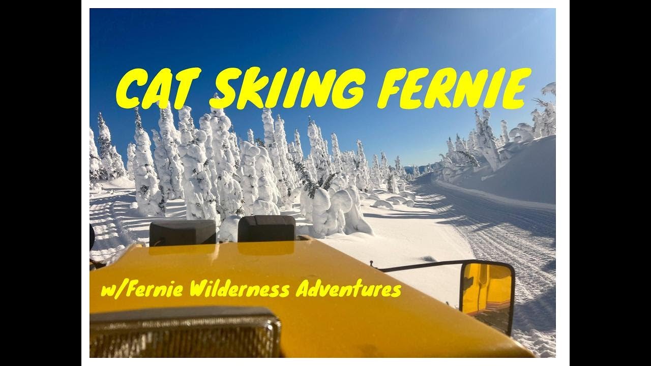 Fernie CAT Skiing '25