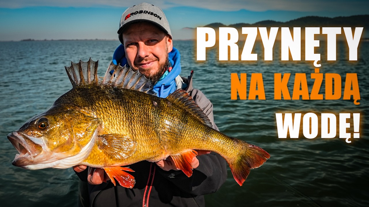 TOP 5 spinning lures for any water!
