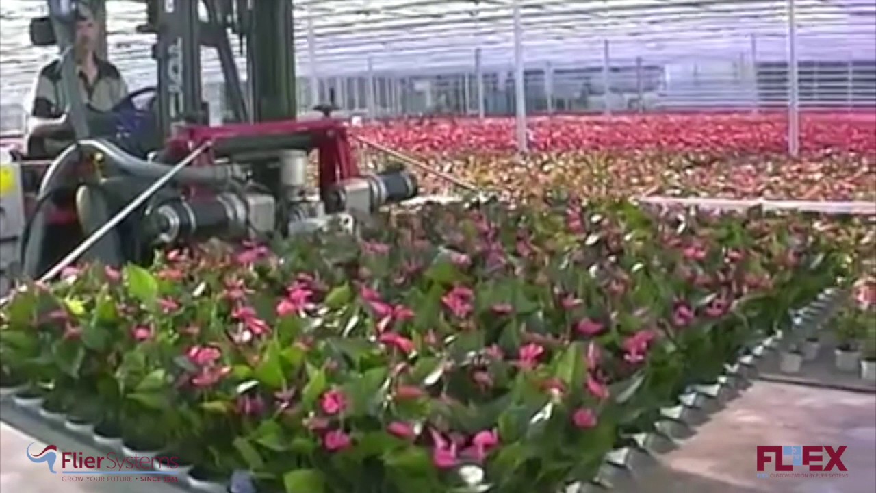 Solutions for pot plant handling by forklift