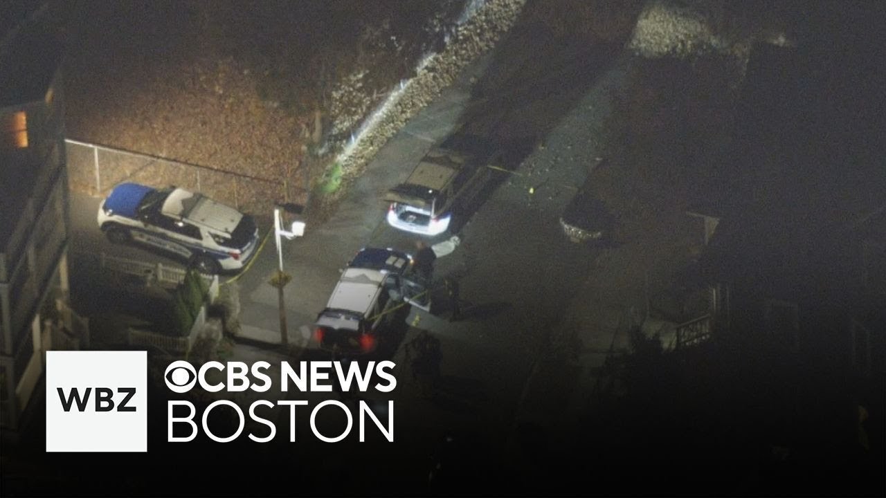 1 person in hospital after dog attacks 3 people in Boston