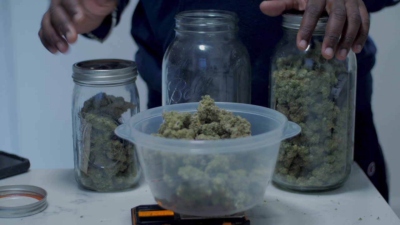 Bubba Kush Final Dry Weight  by Barneys Farm - PlugTalk (S6 EP44)