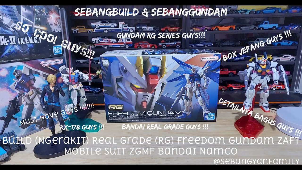 Build Ngerakit Real Grade RG Freedom Gundam ZAFT Mobile Suit ZGMF   X10A