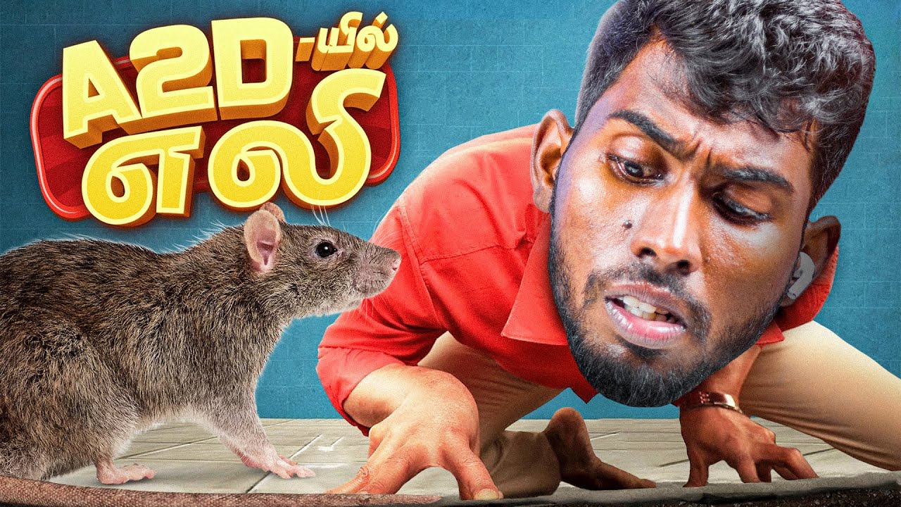 பொறி வெச்சா எலி விழனும் 🔥 - Rat Hunt at A2D Office 🐀