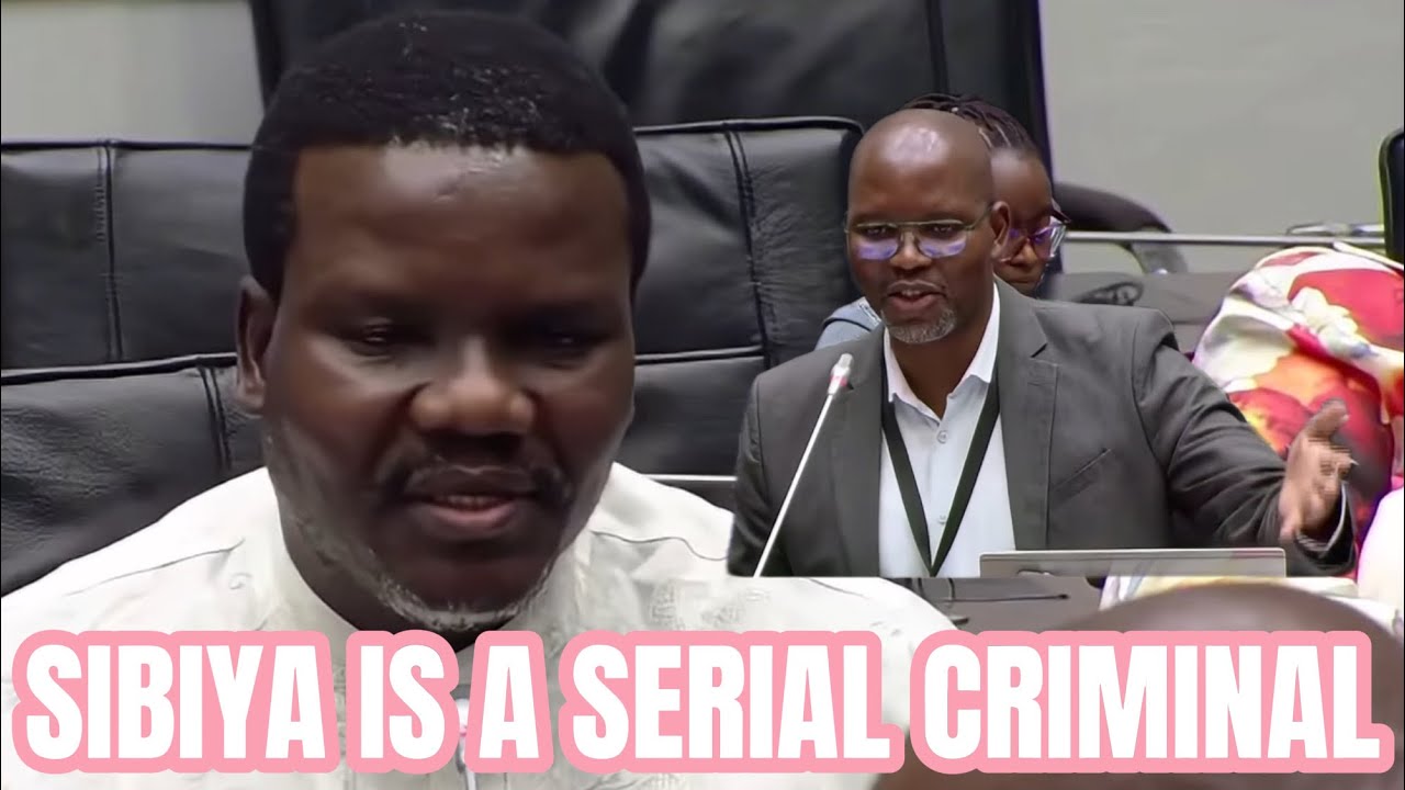 ANC NTULI - GEN SIBIYA EXPOSED FOR SELF APPOINTMENT IN COJ, MASEMOLA FAILED TO VERIFY BACKGROUND