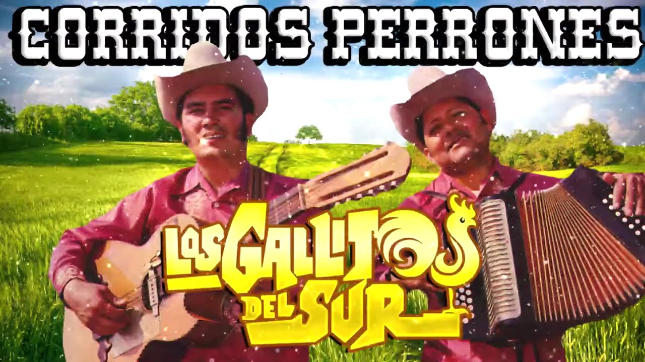 LOS GALLITOS DEL SUR - 15 Exitos Seleccionados Norteños