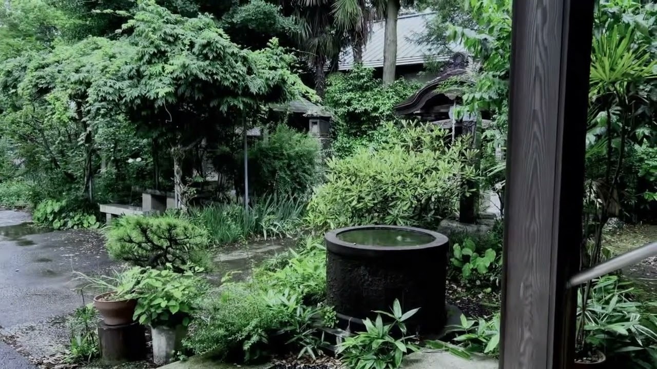 梅雨:츠유 [Playlist]