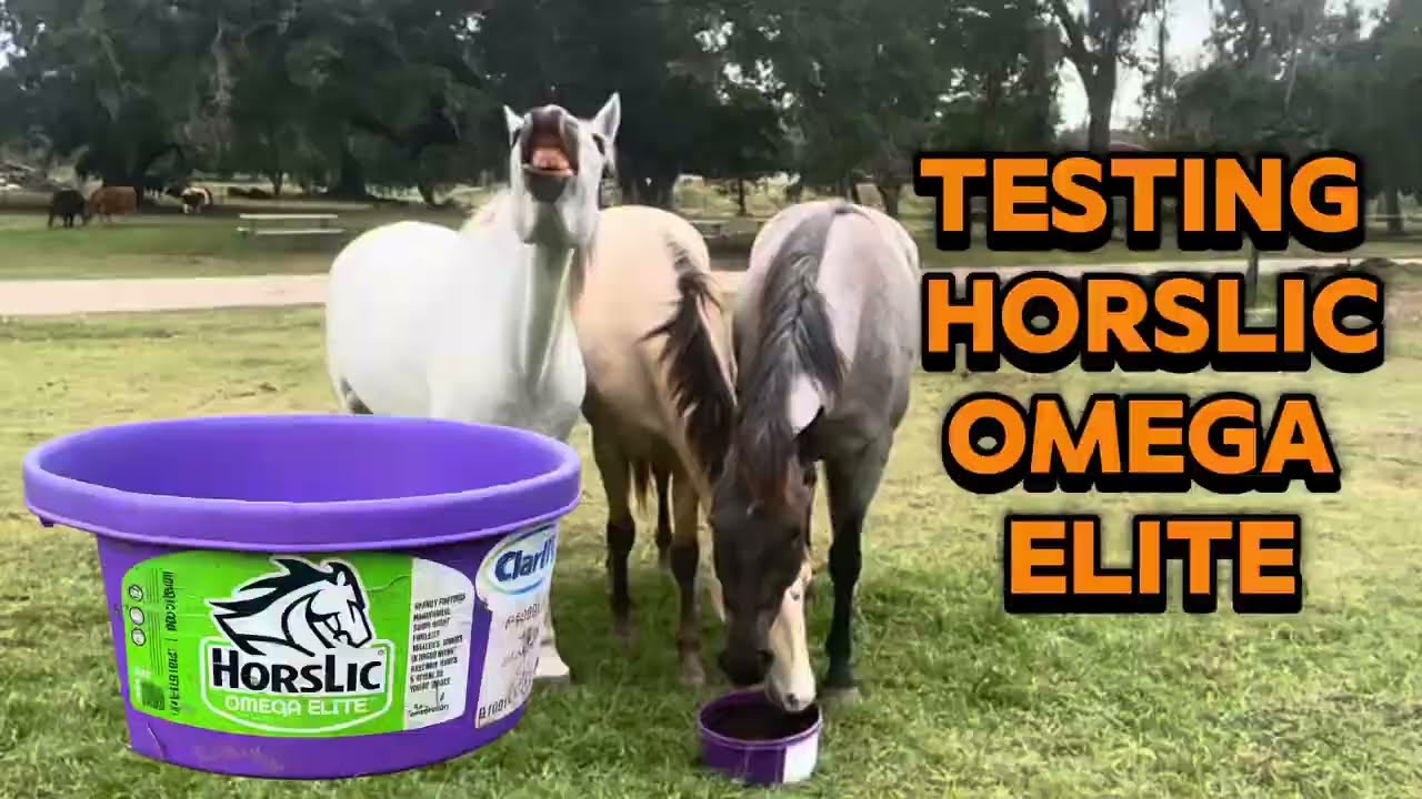 Will our horses like HorsLic Omega Elite.  Watch and find out. 