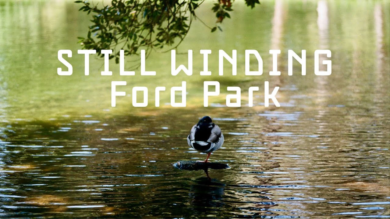 FORD PARK Photo Walk // Leica MP + Voigtlander 90mm f/2.8 APO