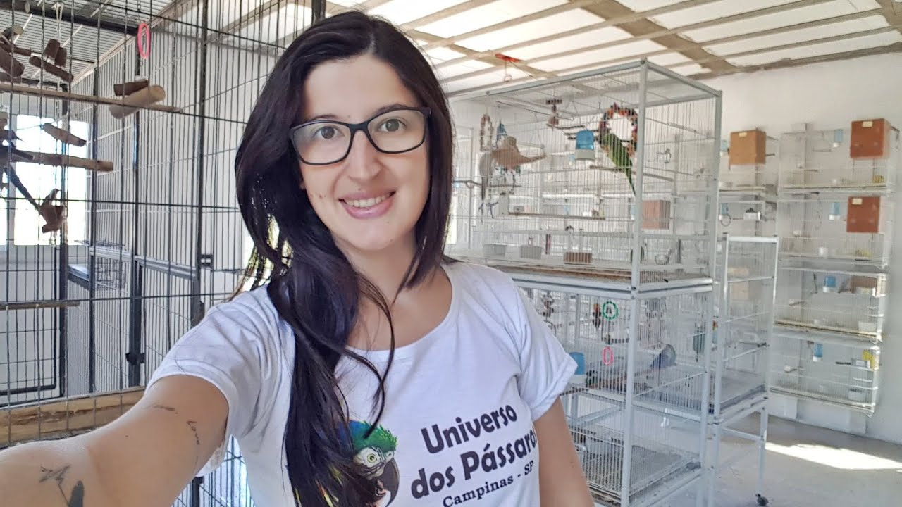 NOVIDADES NO CRIADOURO - UDP