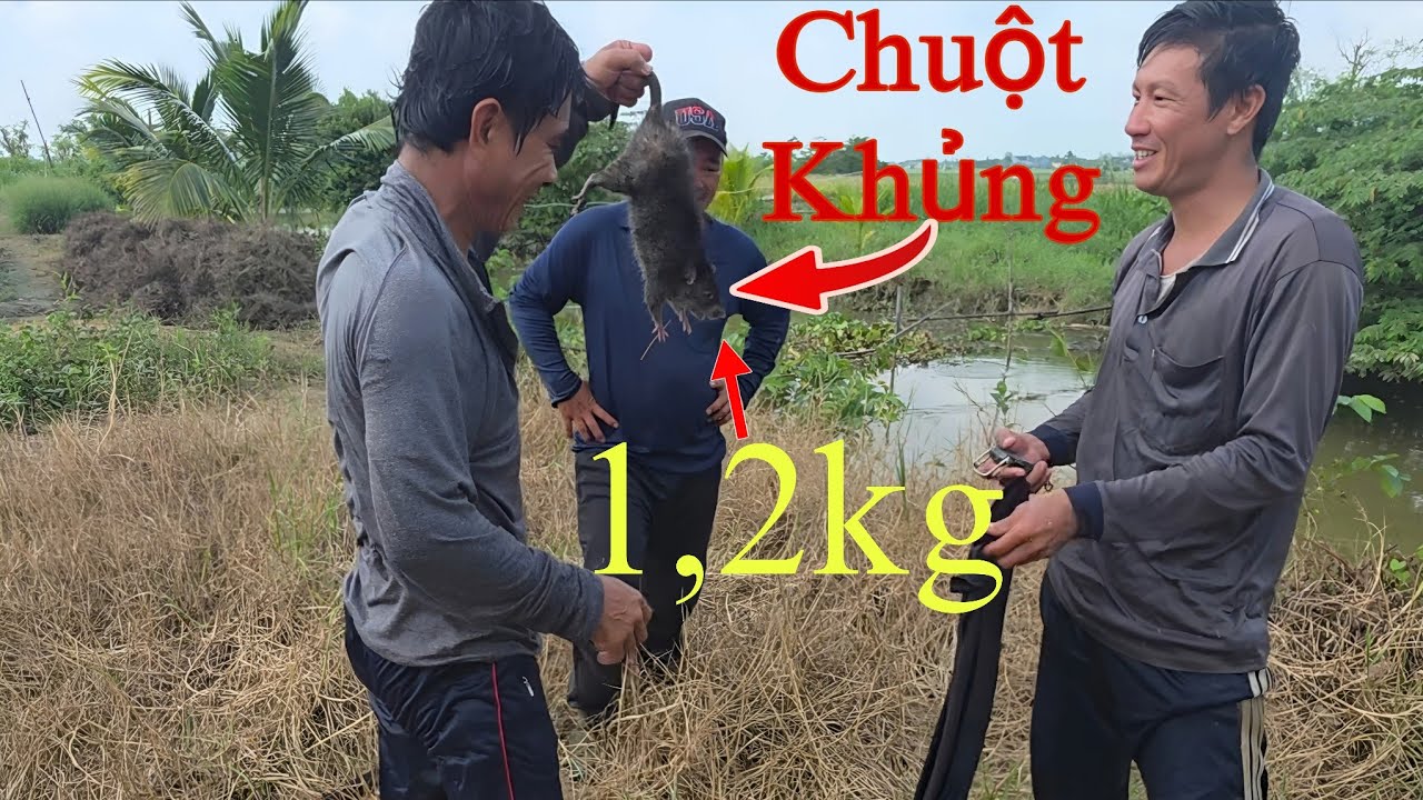 Cả Nhóm Rất Vui khi Bắt Được Một Con Chuột khổng Lồ || Giang Ca SB # 50