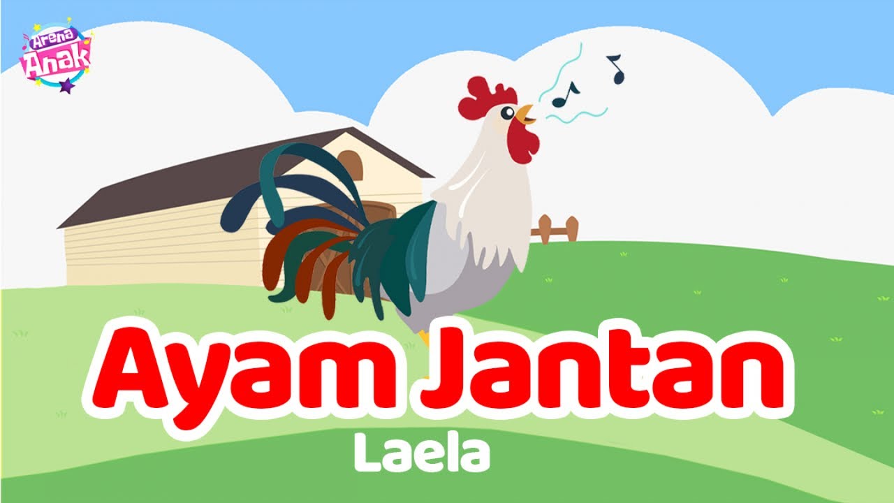 Laela - Ayam Jantan | Nursery Rhymes