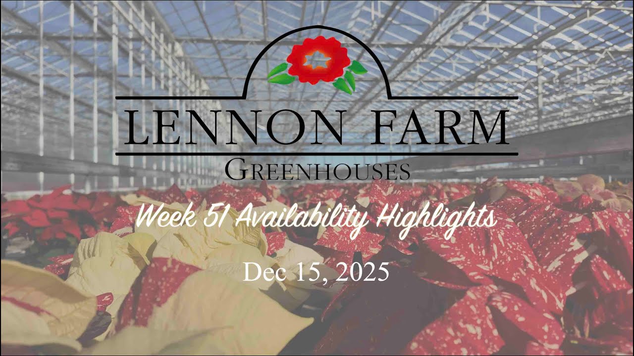 Availability Highlights: Dec 15, 2025