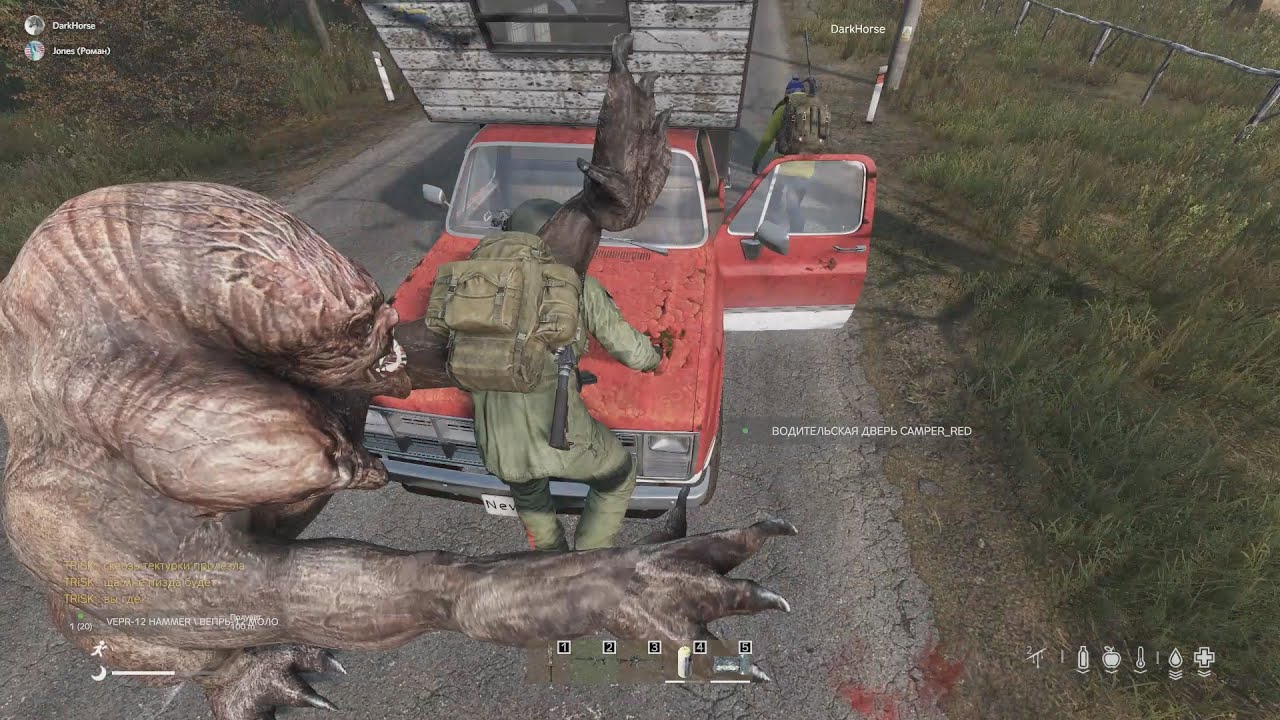 1 день на проекте New Era PVE Dayz 