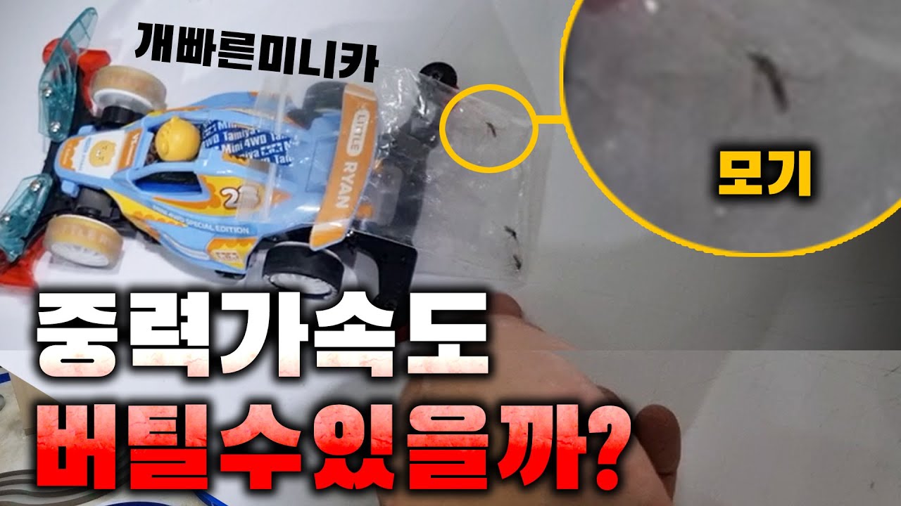 개빠른 미니카에 '모기'를 태워봤습니다