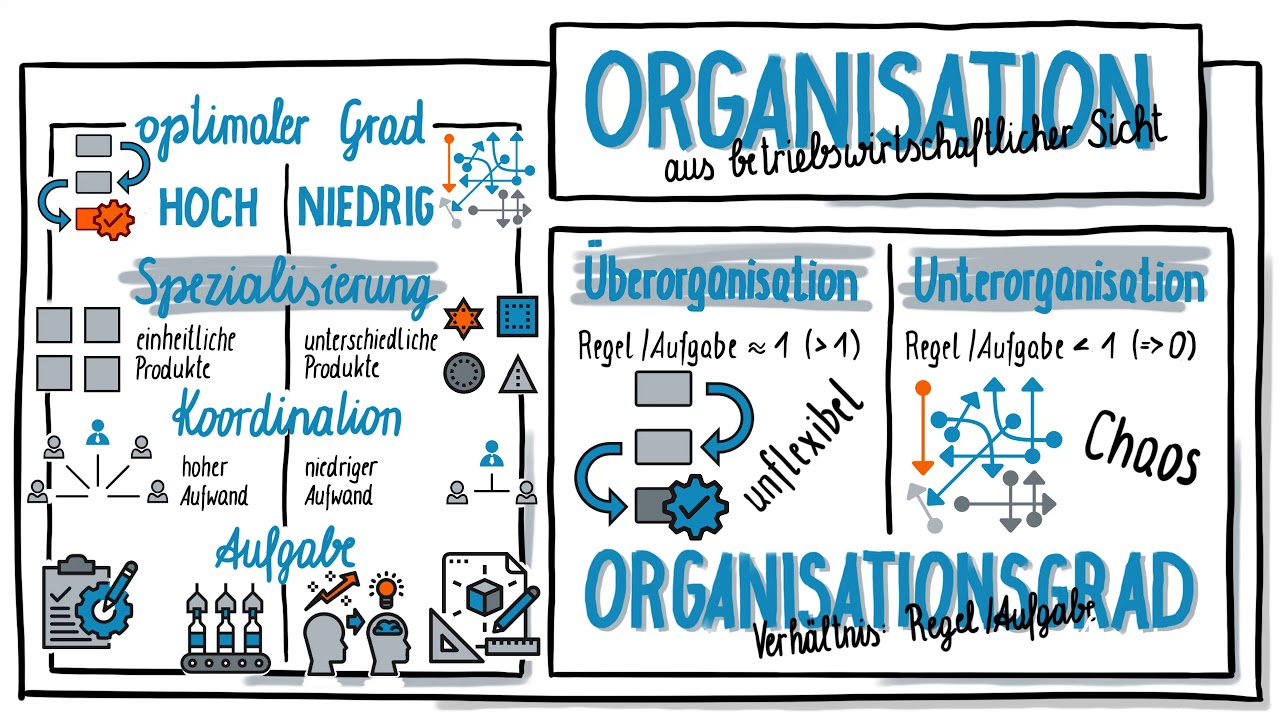 Organisation aus betriebswirtschaftlicher Sicht - ein Überblick
