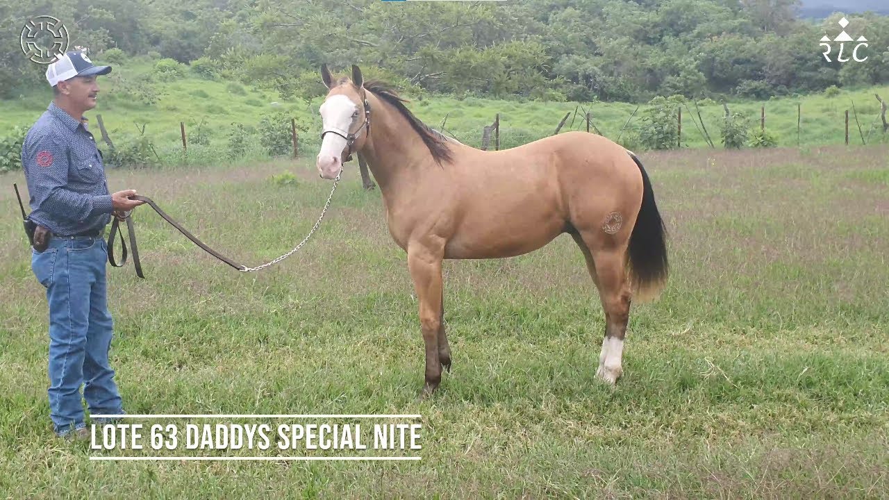 Lotes ACTUALIZADOS Rancho MONTEGRANDE Para la Subasta de Criadores de Occidente 2021