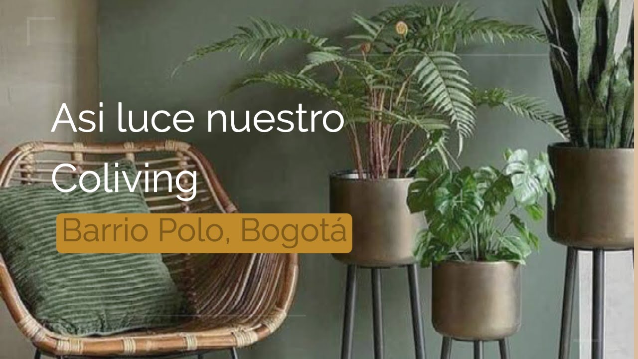 Entrega de Coliving en el barrio Polo