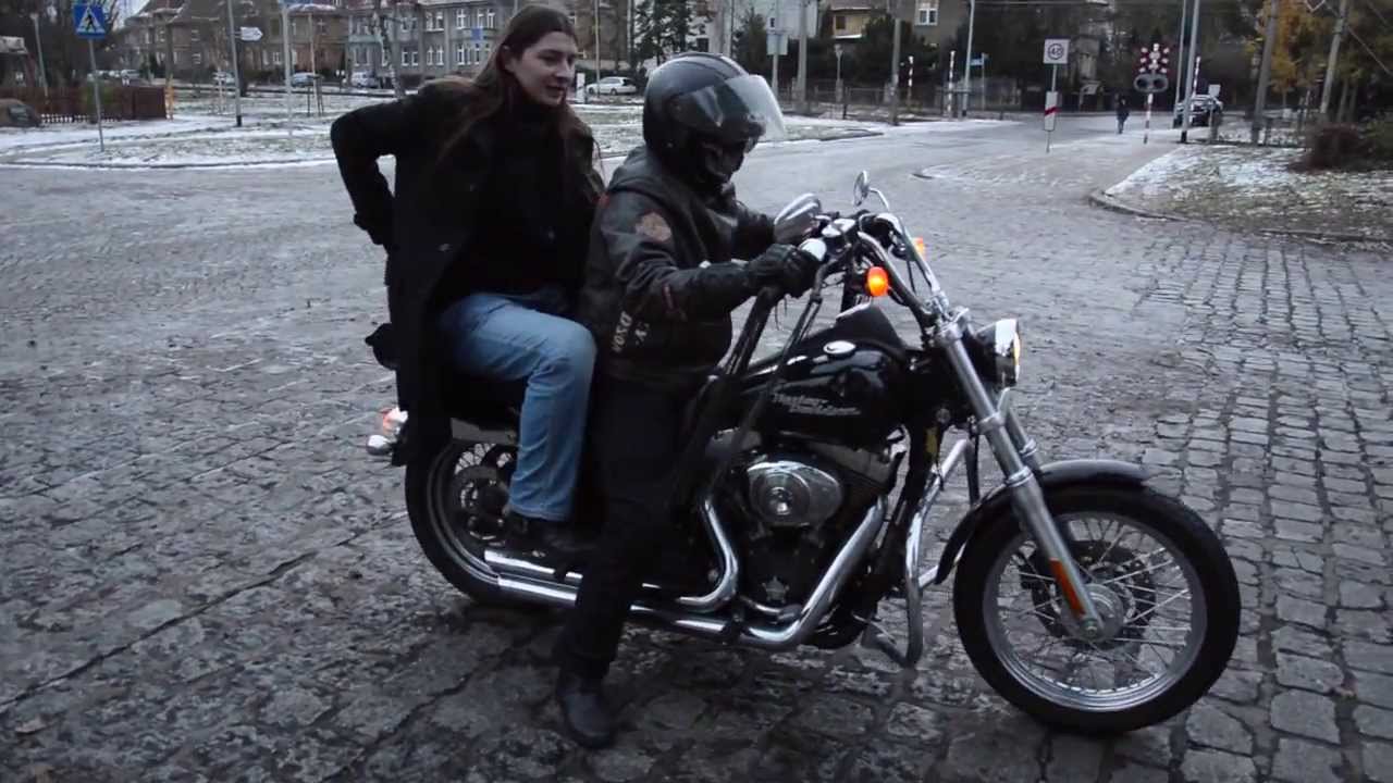 Bona Fides - Harley